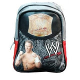 Mochila WWE 22 x 29 x 7 cm - Gran Capacidad